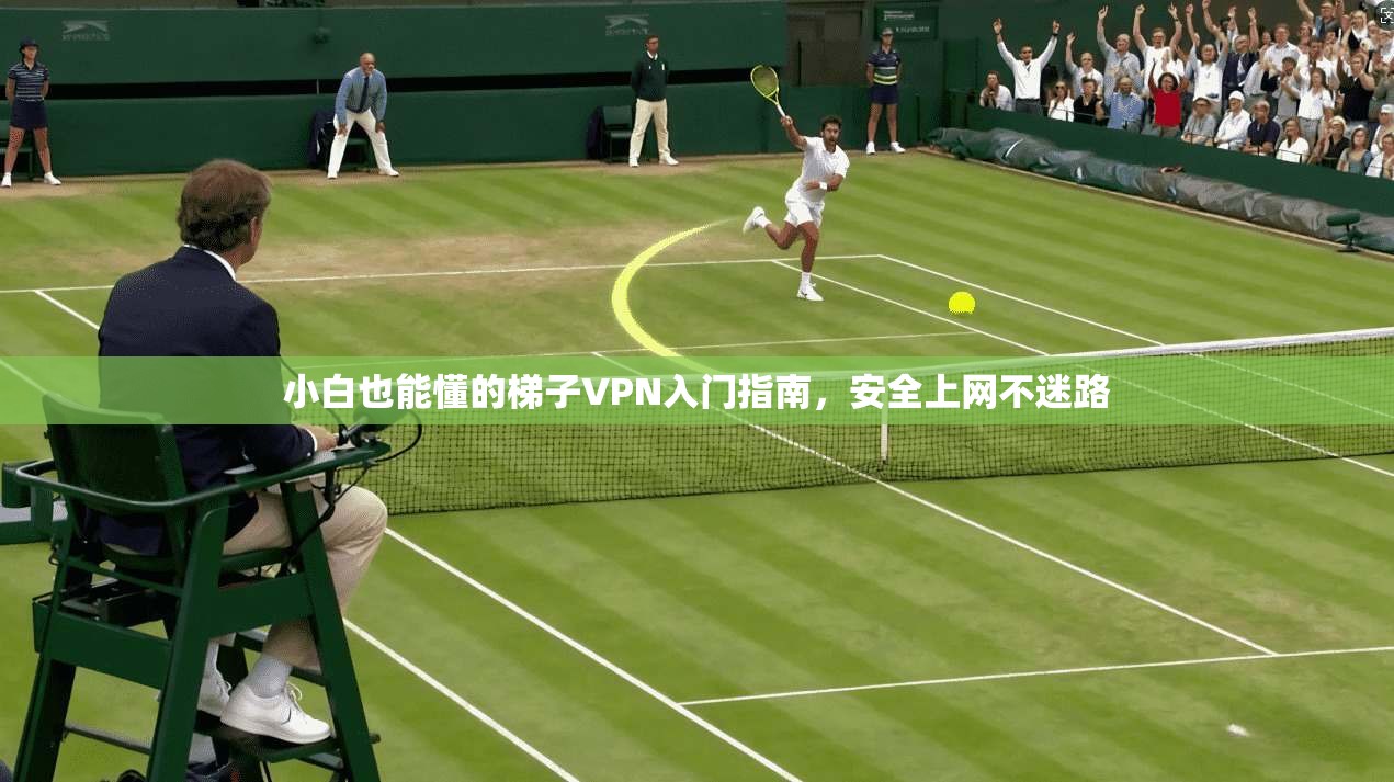 小白也能懂的梯子VPN入门指南,安全上网不迷路 小白也能懂的梯子VPN入门指南,安全上网不迷路