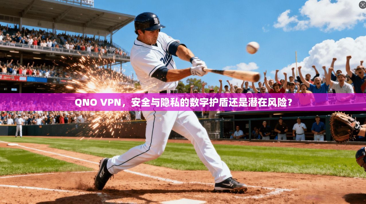 QNO VPN，安全与隐私的数字护盾还是潜在风险？
