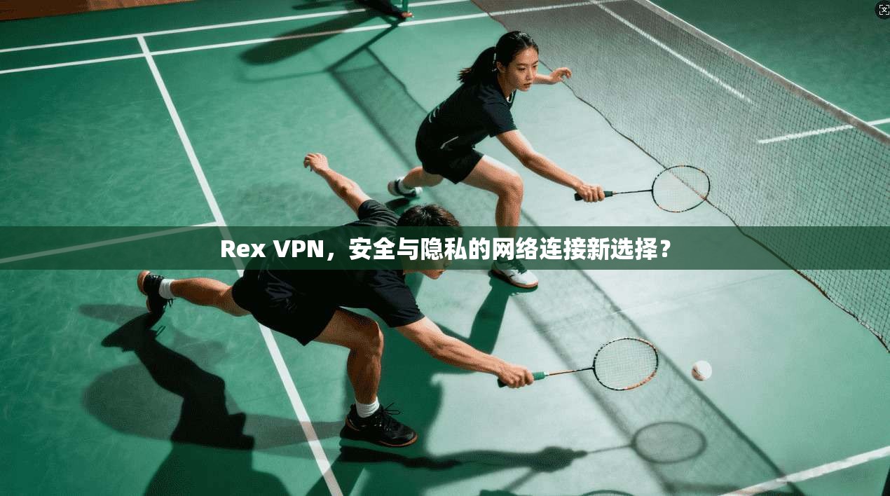 Rex VPN，安全与隐私的网络连接新选择？