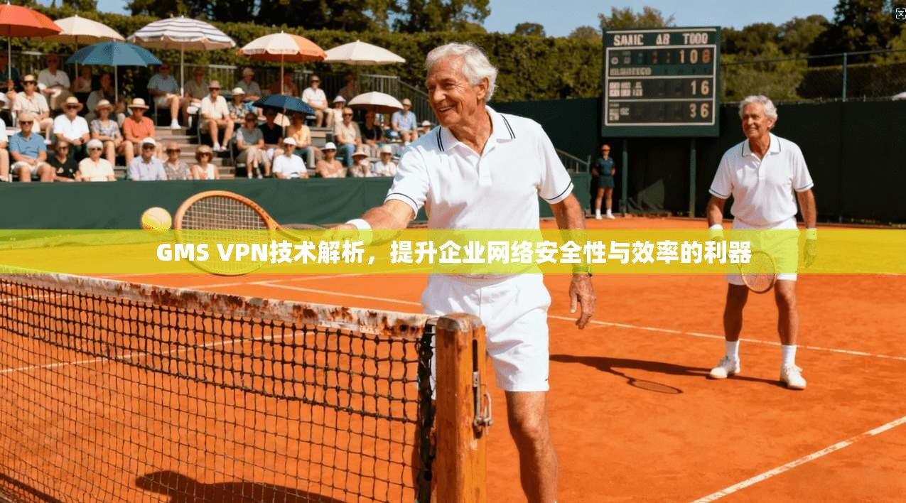 GMS VPN技术解析，提升企业网络安全性与效率的利器