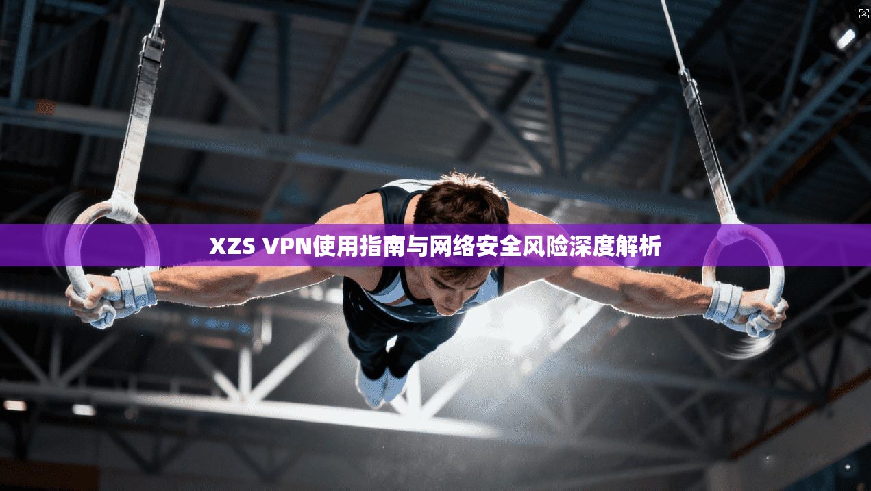 XZS VPN使用指南与网络安全风险深度解析