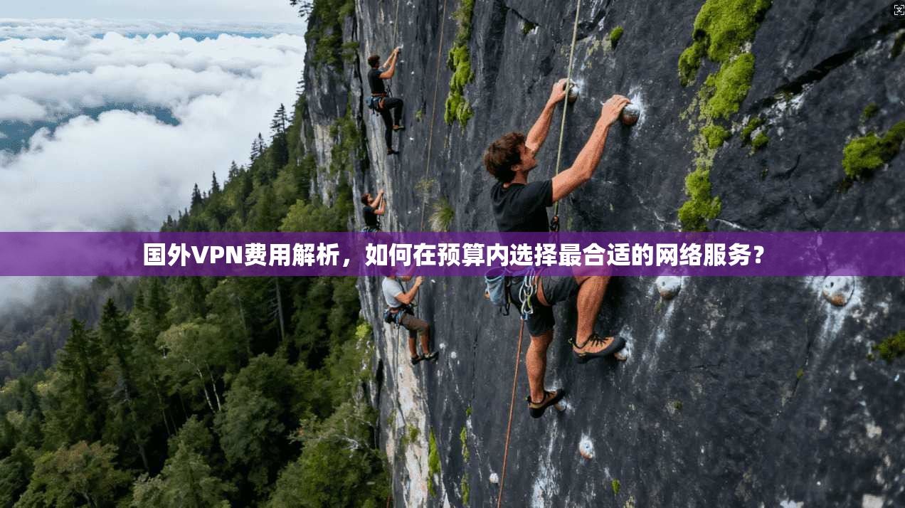 国外VPN费用解析，如何在预算内选择最合适的网络服务？