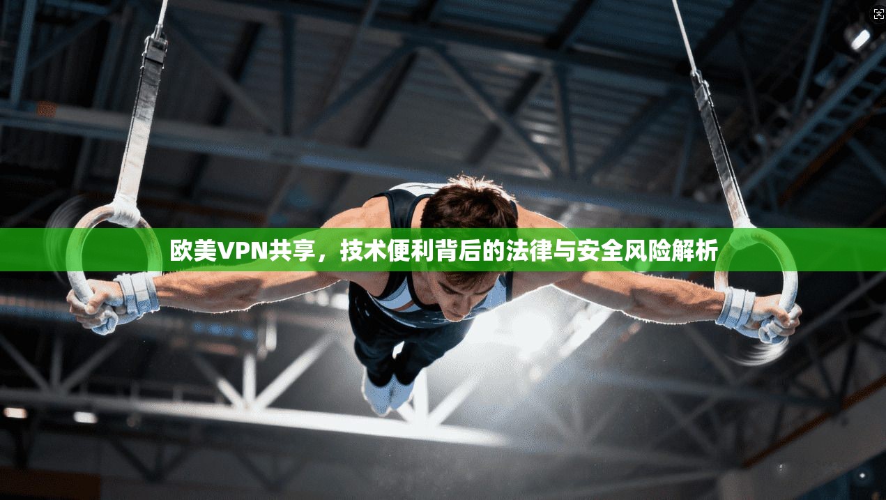欧美VPN共享，技术便利背后的法律与安全风险解析