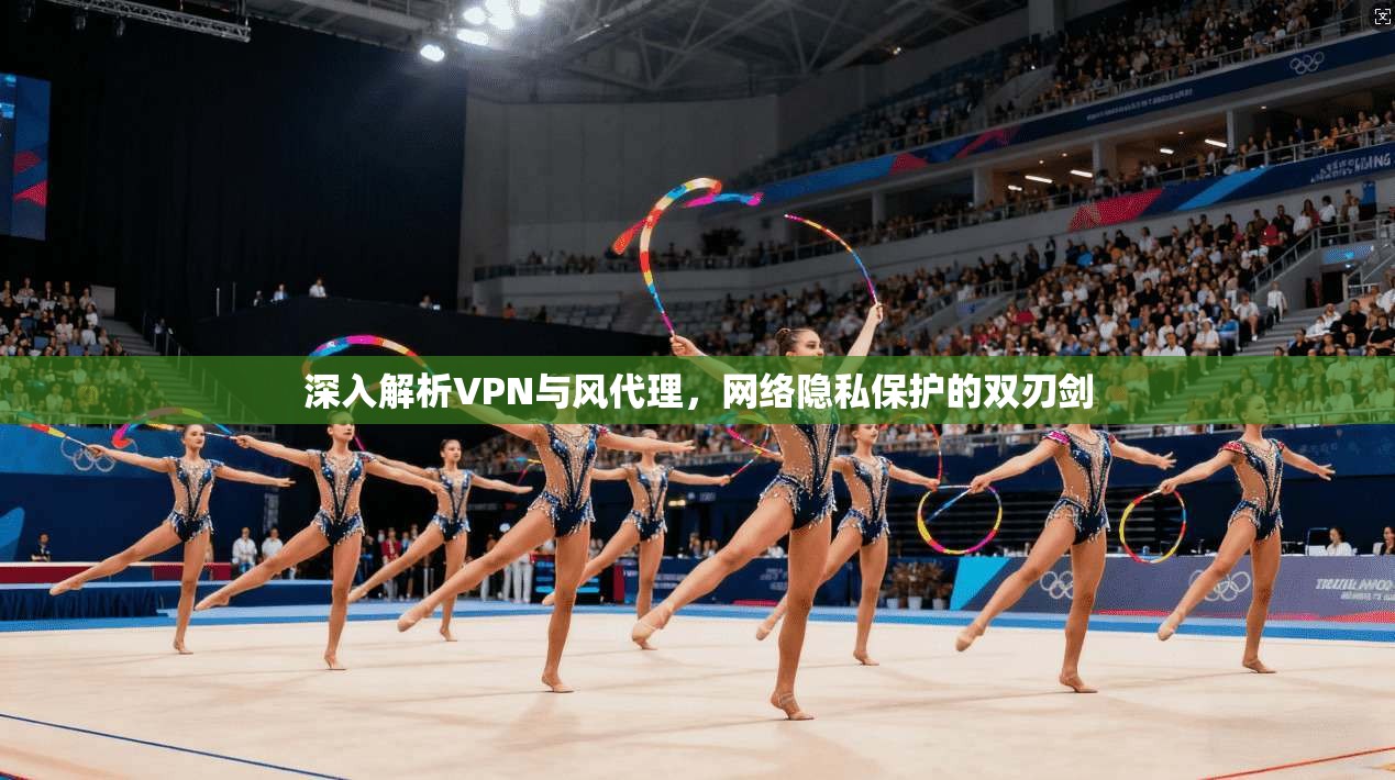 深入解析VPN与风代理，网络隐私保护的双刃剑