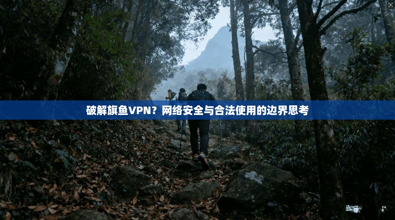 破解旗鱼VPN？网络安全与合法使用的边界思考