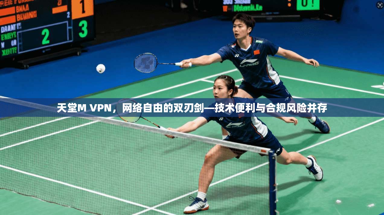 天堂M VPN，网络自由的双刃剑—技术便利与合规风险并存