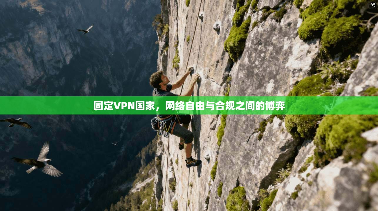 固定VPN国家，网络自由与合规之间的博弈
