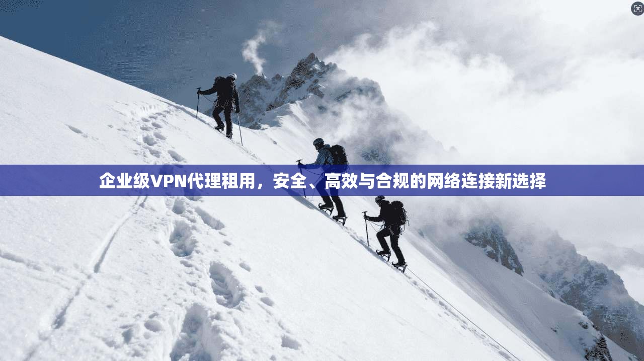企业级VPN代理租用，安全、高效与合规的网络连接新选择