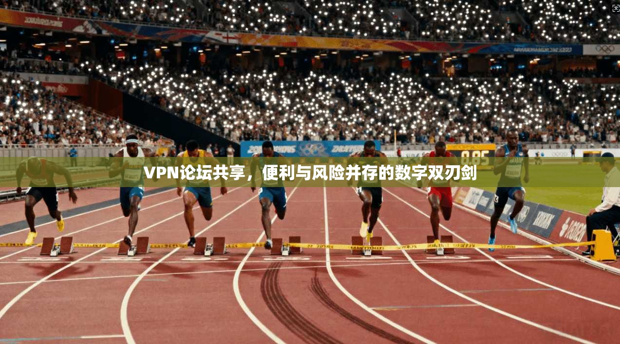 VPN论坛共享，便利与风险并存的数字双刃剑