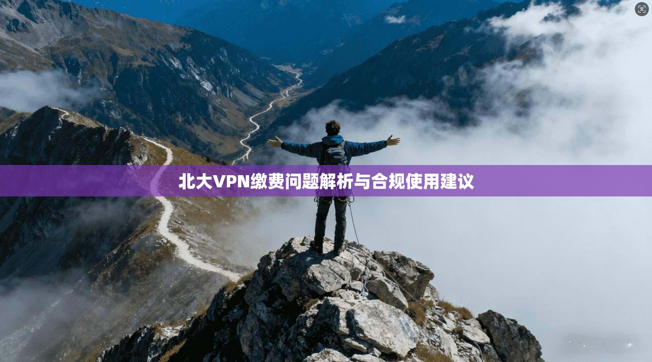 北大VPN缴费问题解析与合规使用建议