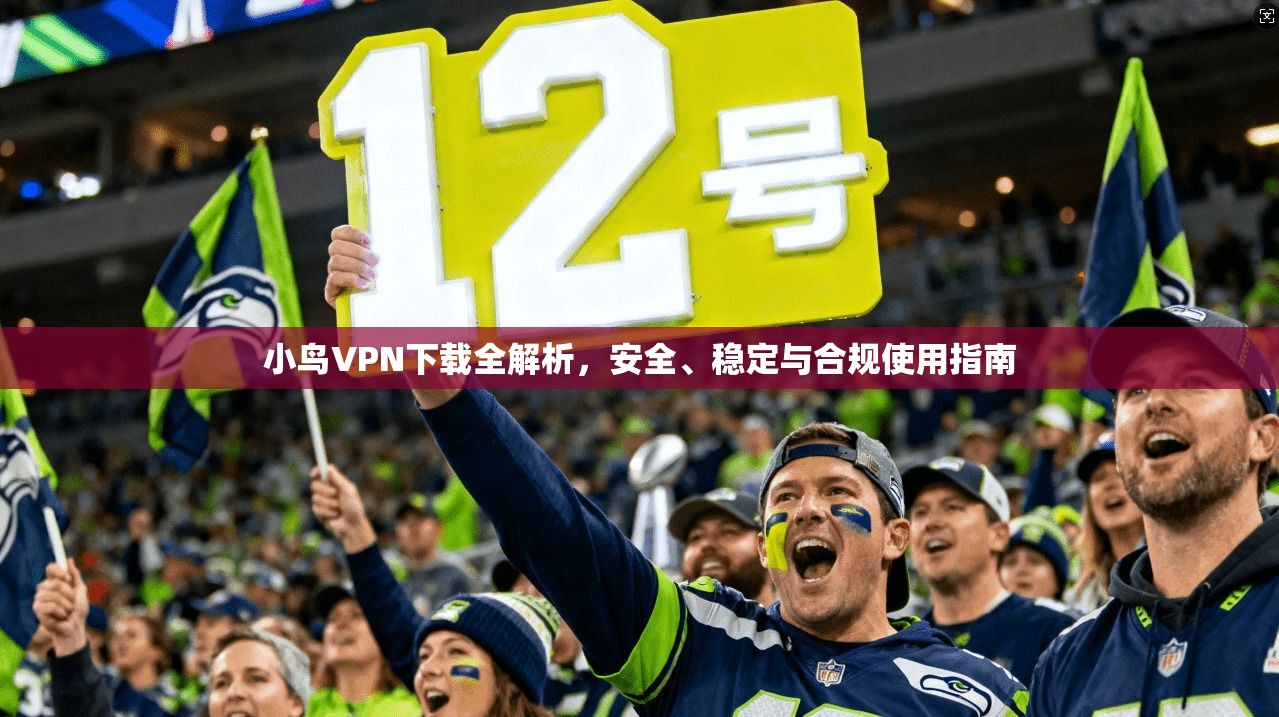 小鸟VPN下载全解析，安全、稳定与合规使用指南