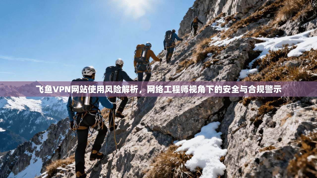 飞鱼VPN网站使用风险解析，网络工程师视角下的安全与合规警示