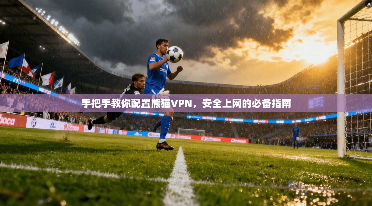手把手教你配置熊猫VPN，安全上网的必备指南