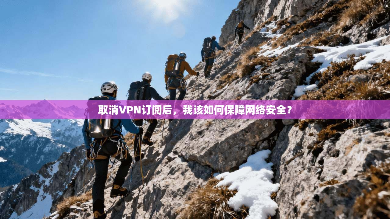 取消VPN订阅后，我该如何保障网络安全？