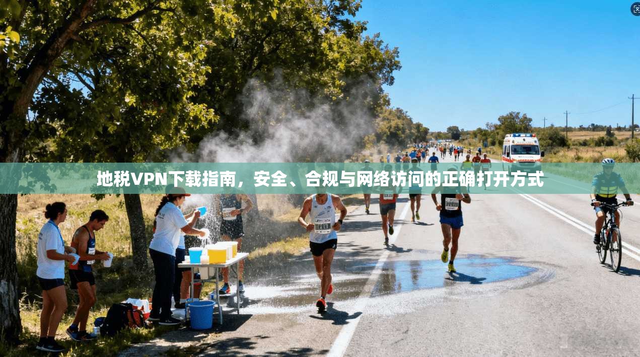 地税VPN下载指南，安全、合规与网络访问的正确打开方式