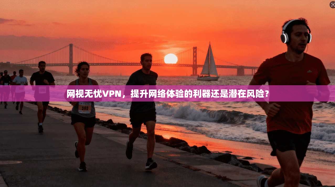 网视无忧VPN，提升网络体验的利器还是潜在风险？
