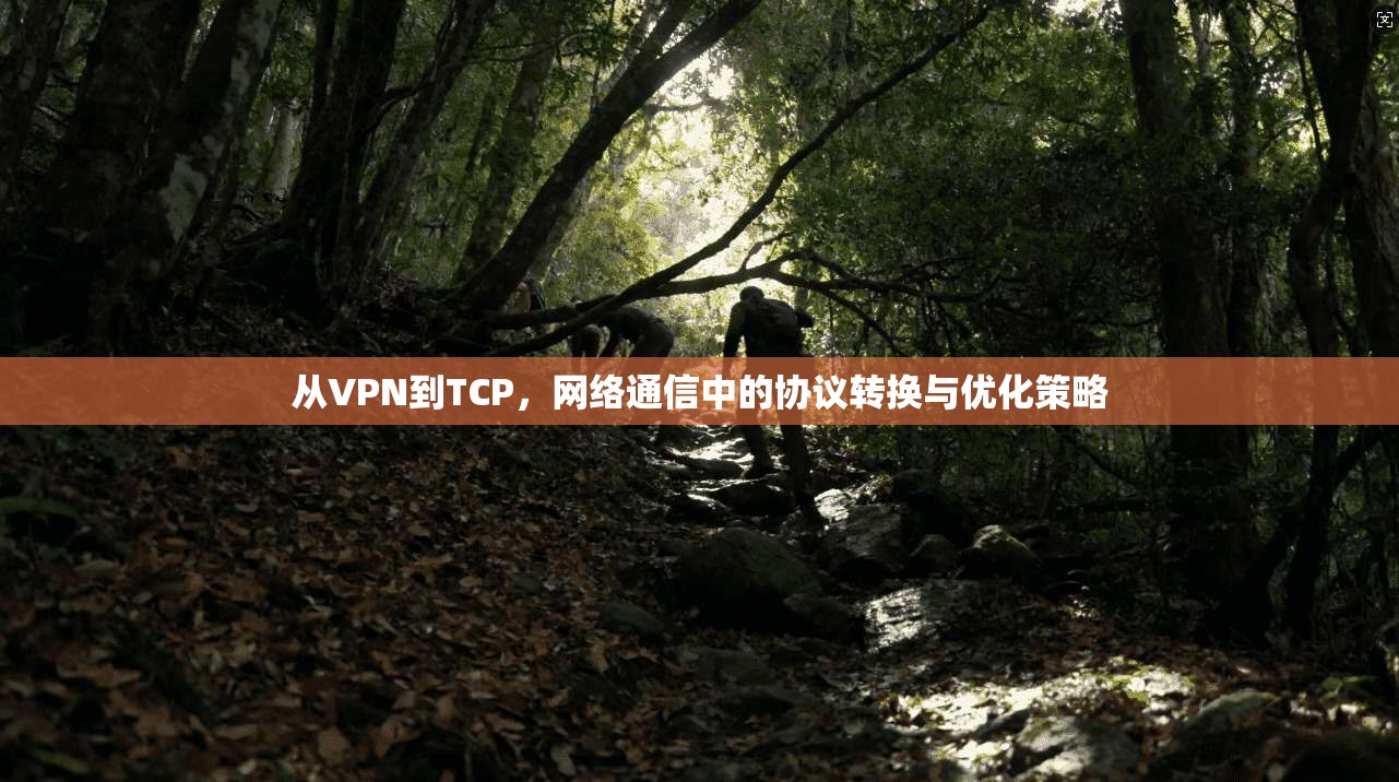从VPN到TCP,网络通信中的协议转换与优化策略 从VPN到TCP,网络通信中的协议转换与优化策略