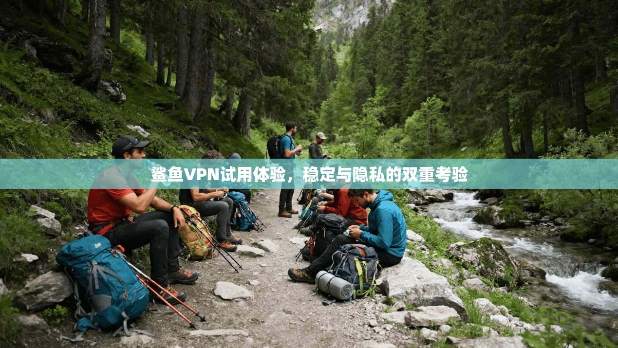 鲨鱼VPN试用体验，稳定与隐私的双重考验