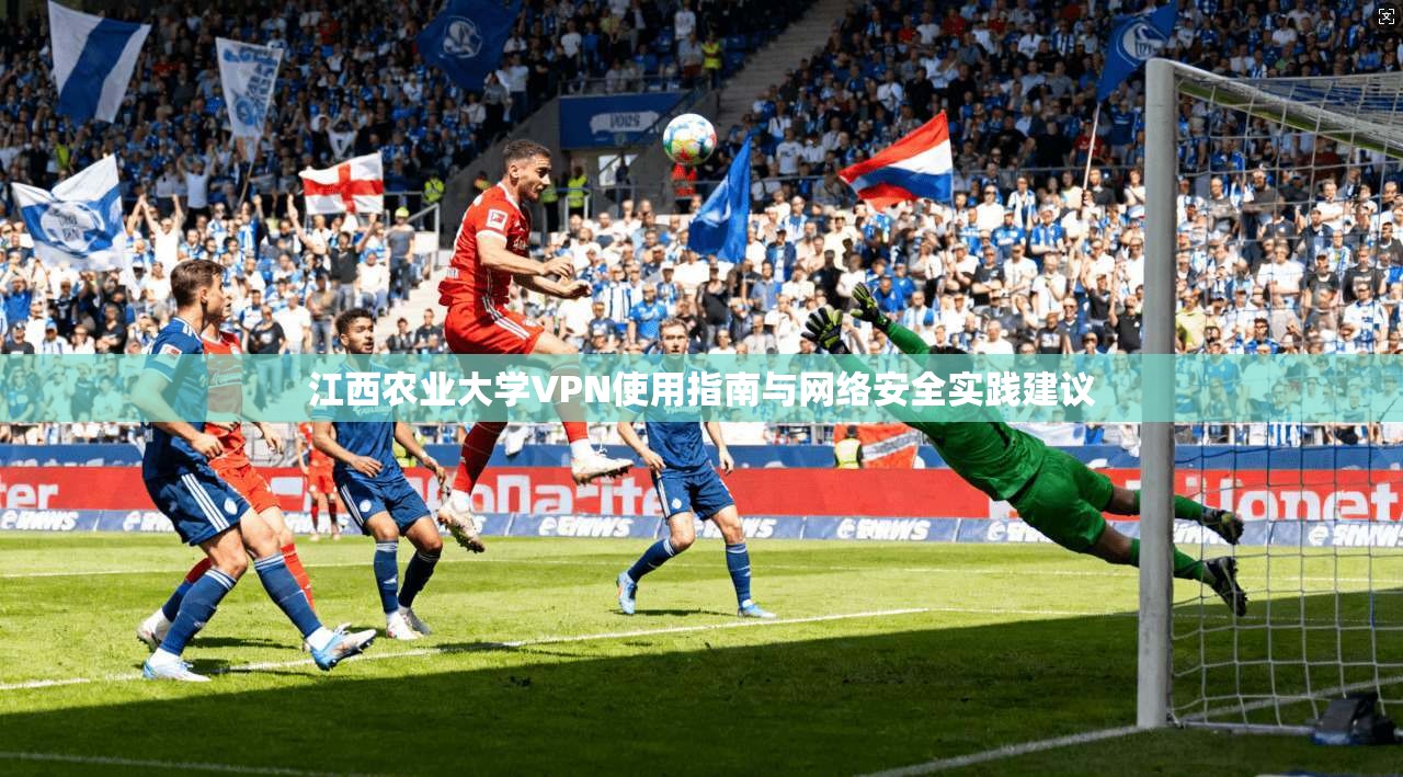 江西农业大学VPN使用指南与网络安全实践建议