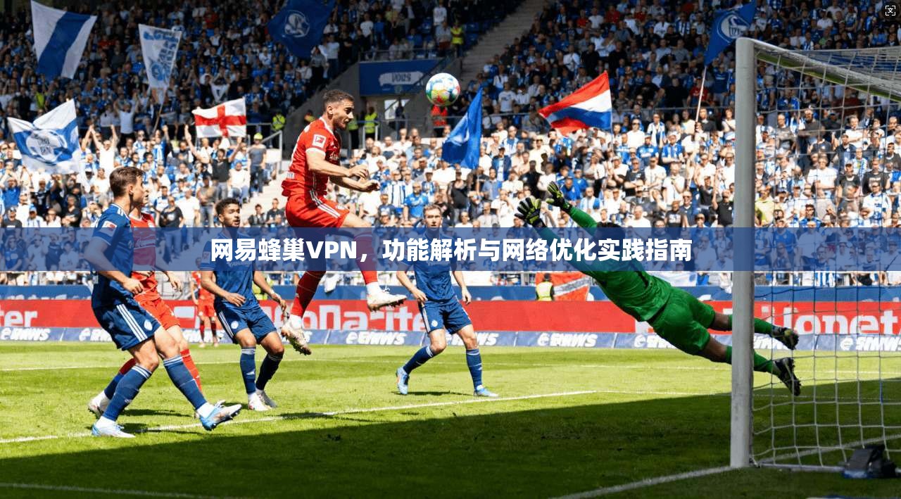 网易蜂巢VPN，功能解析与网络优化实践指南
