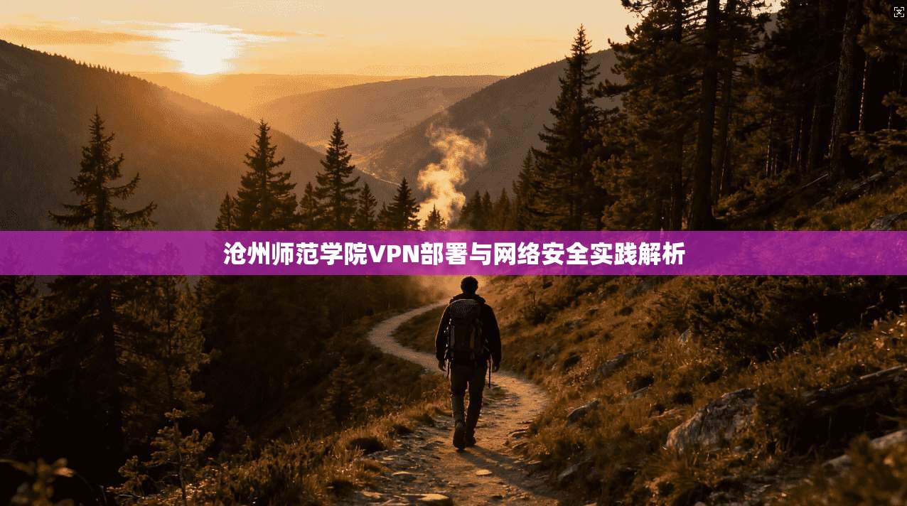 沧州师范学院VPN部署与网络安全实践解析