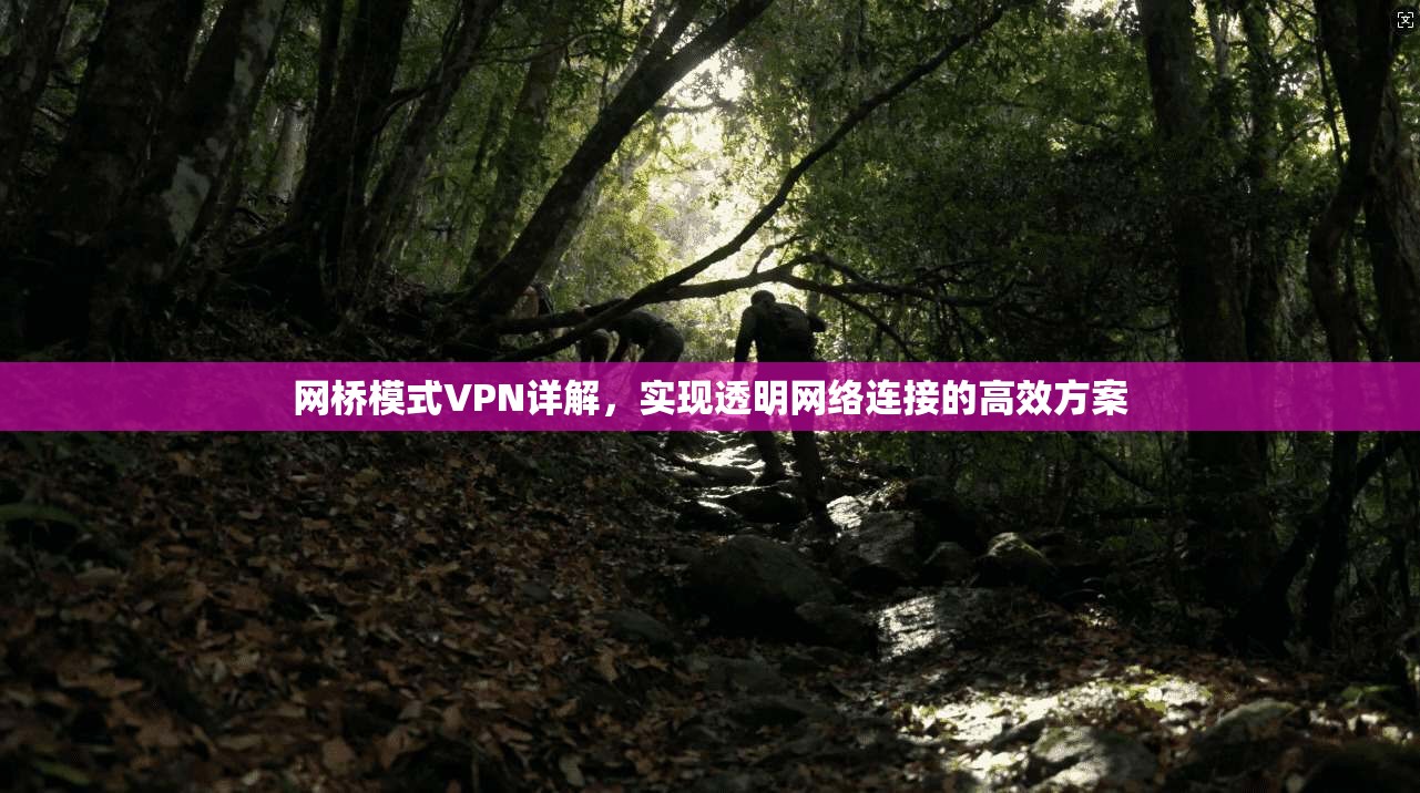 网桥模式VPN详解,实现透明网络连接的高效方案 网桥模式VPN详解,实现透明网络连接的高效方案