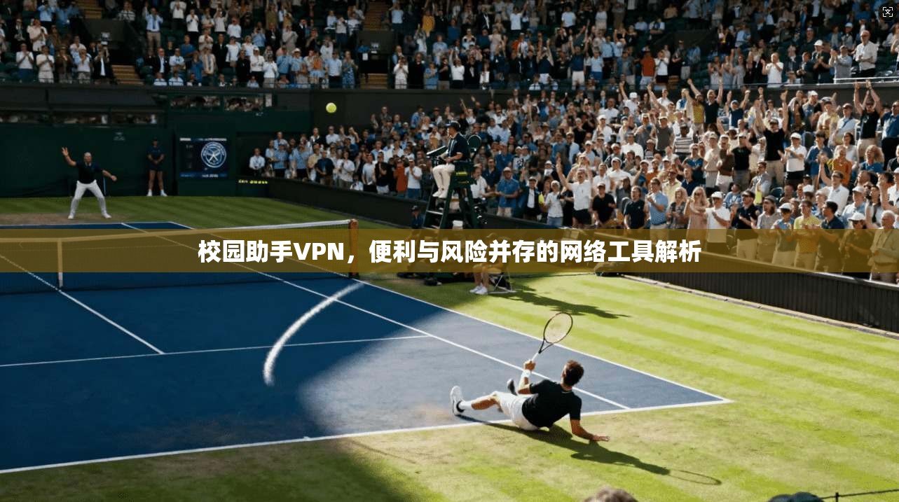 校园助手VPN,便利与风险并存的网络工具解析