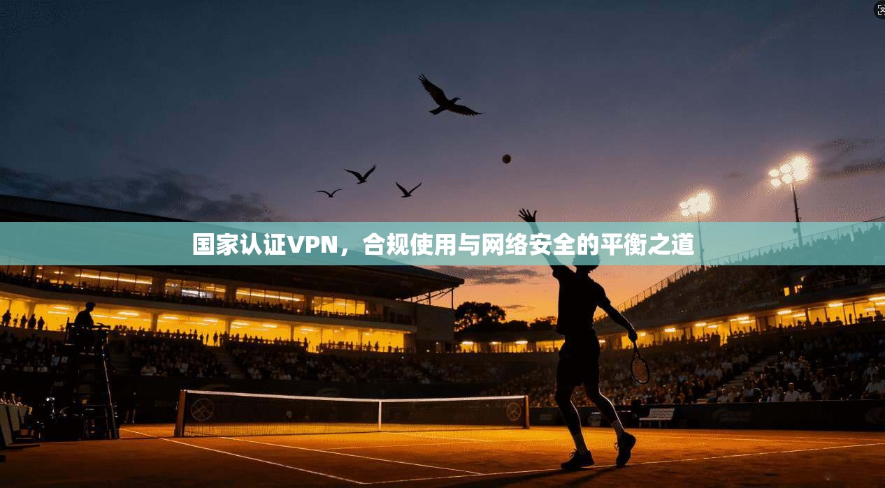 国家认证VPN，合规使用与网络安全的平衡之道