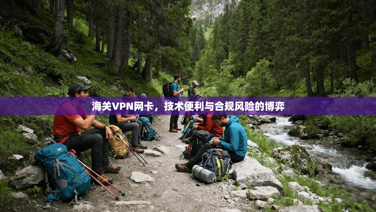 海关VPN网卡，技术便利与合规风险的博弈