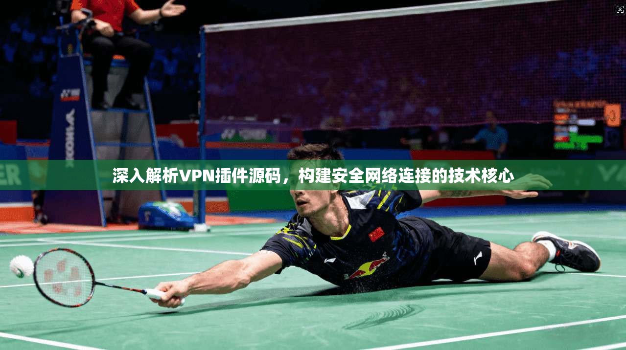 深入解析VPN插件源码，构建安全网络连接的技术核心