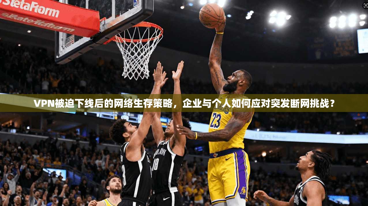 VPN被迫下线后的网络生存策略，企业与个人如何应对突发断网挑战？