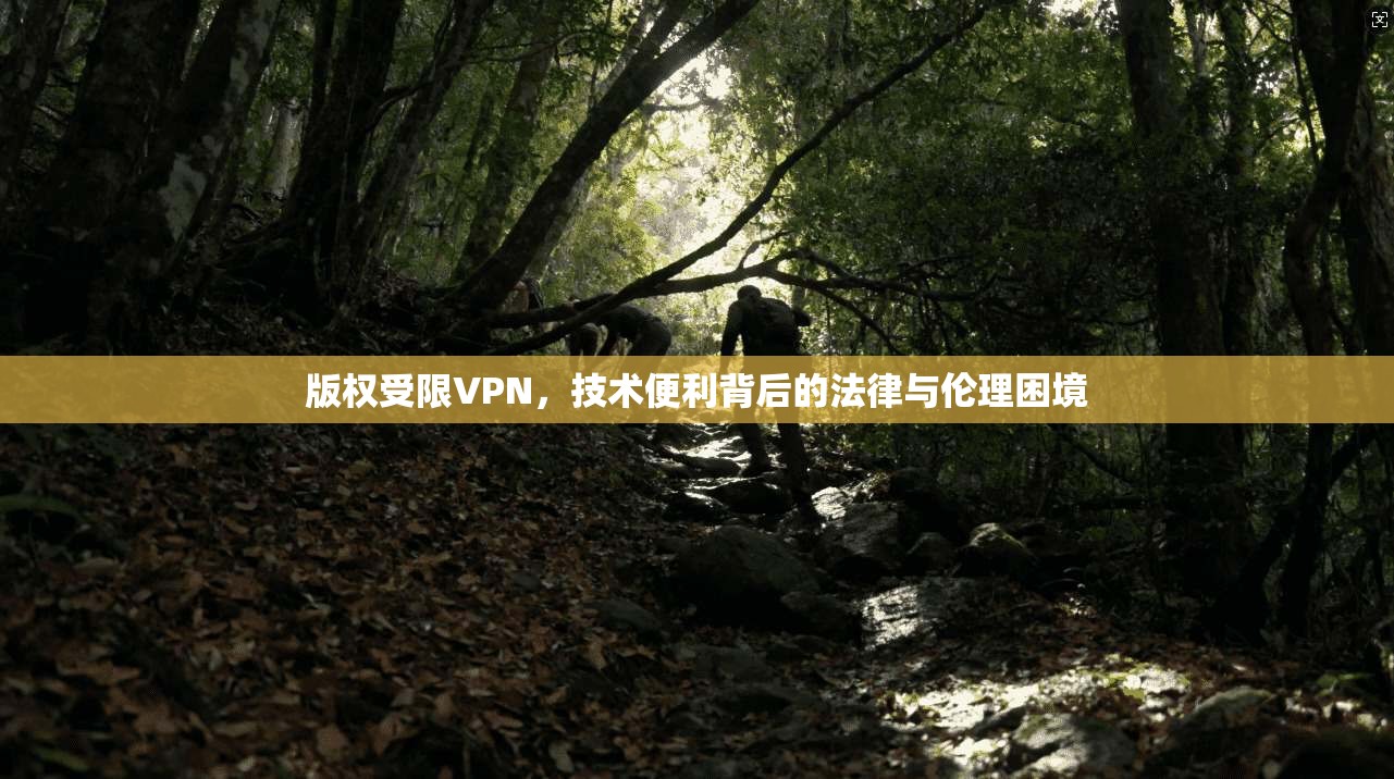 版权受限VPN，技术便利背后的法律与伦理困境