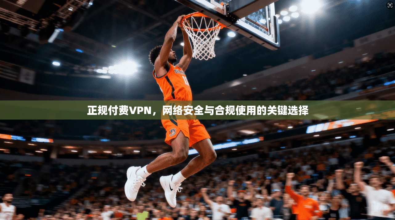 正规付费VPN，网络安全与合规使用的关键选择