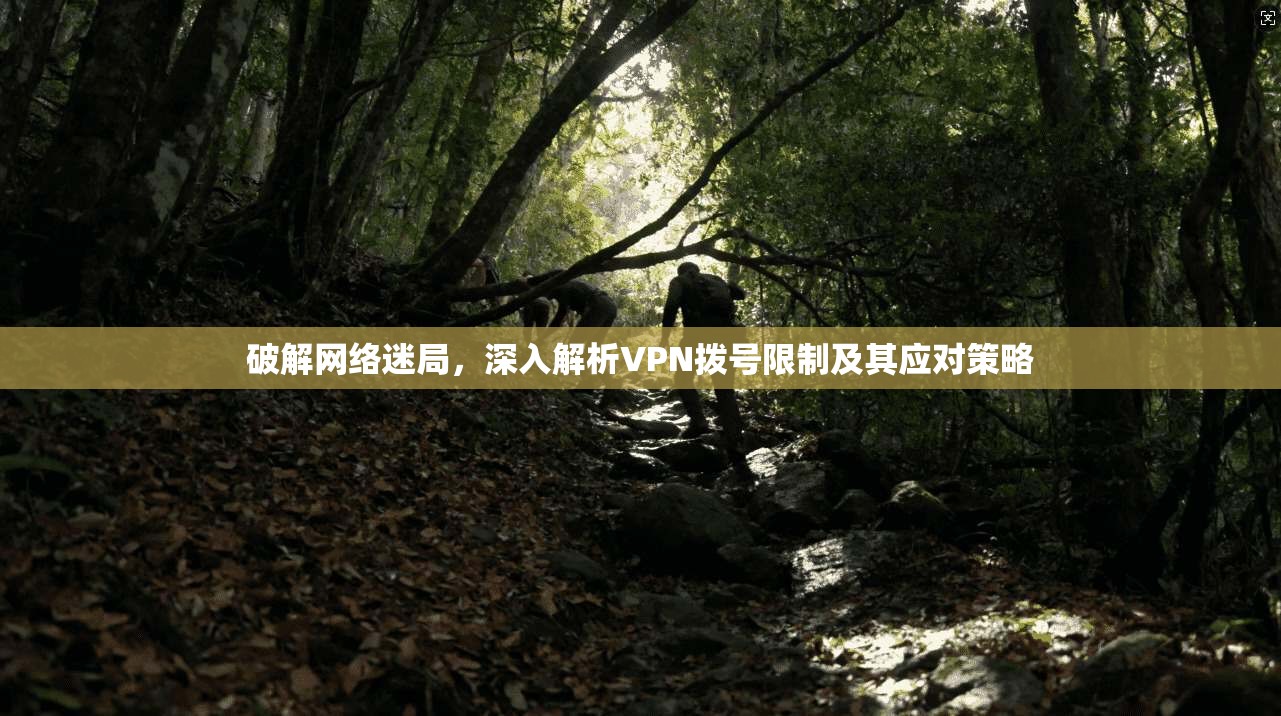 破解网络迷局，深入解析VPN拨号限制及其应对策略