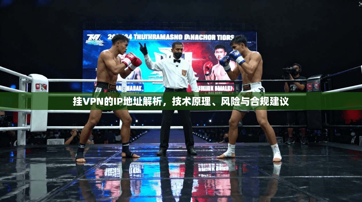挂VPN的IP地址解析，技术原理、风险与合规建议