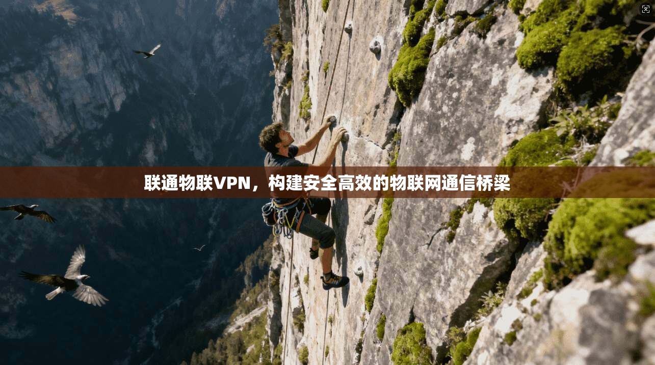 联通物联VPN,构建安全高效的物联网通信桥梁