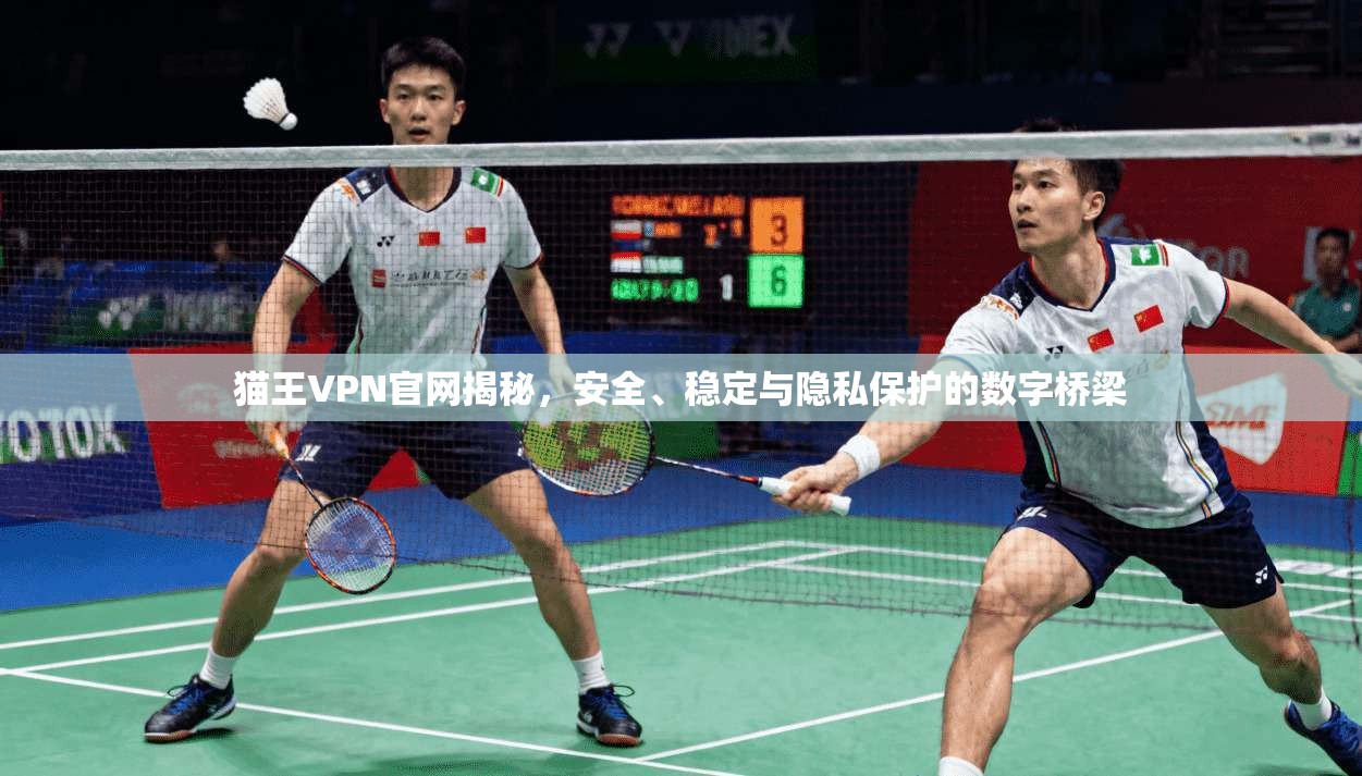 猫王VPN官网揭秘，安全、稳定与隐私保护的数字桥梁