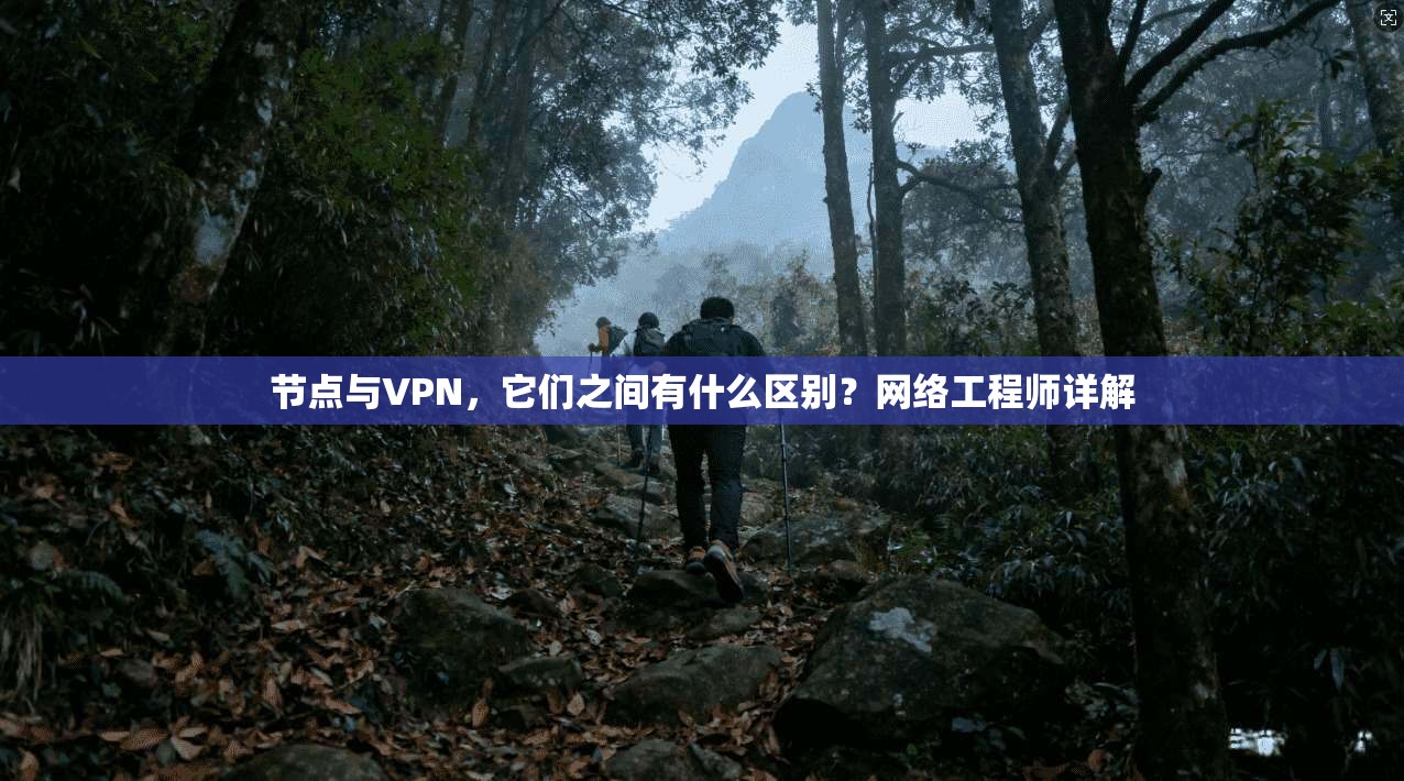 节点与VPN，它们之间有什么区别？网络工程师详解