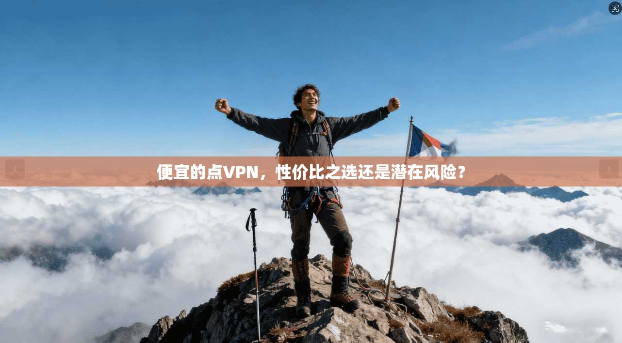 便宜的点VPN，性价比之选还是潜在风险？