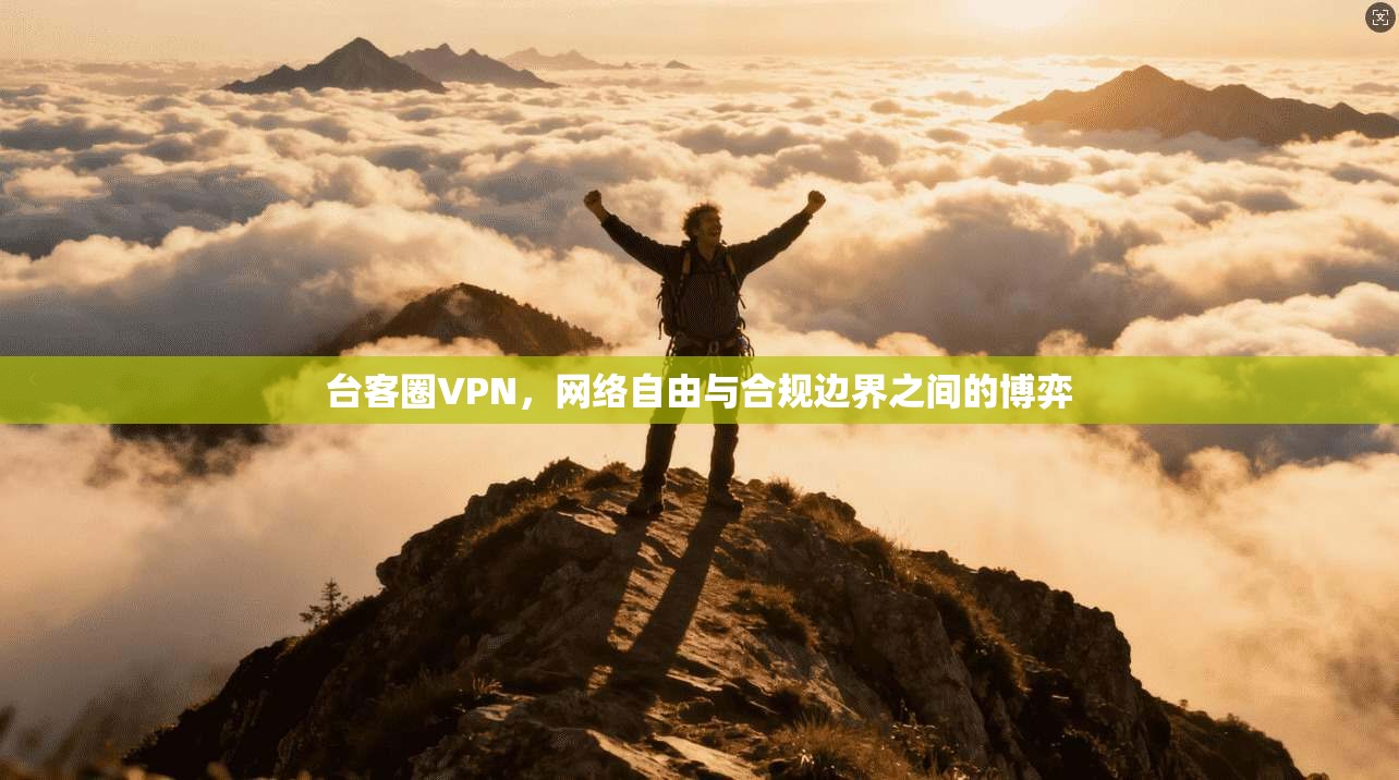 台客圈VPN，网络自由与合规边界之间的博弈