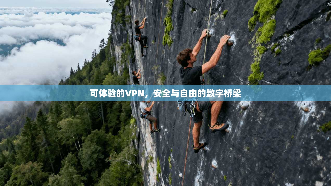 可体验的VPN，安全与自由的数字桥梁
