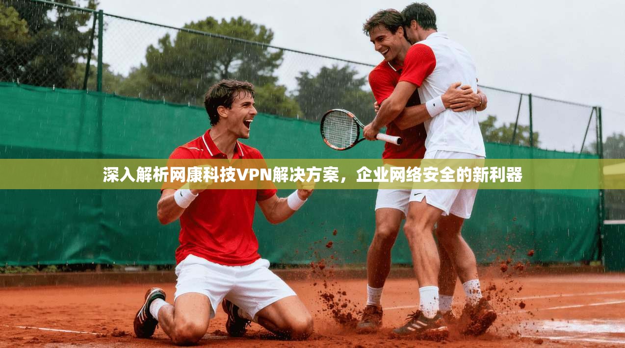 深入解析网康科技VPN解决方案，企业网络安全的新利器