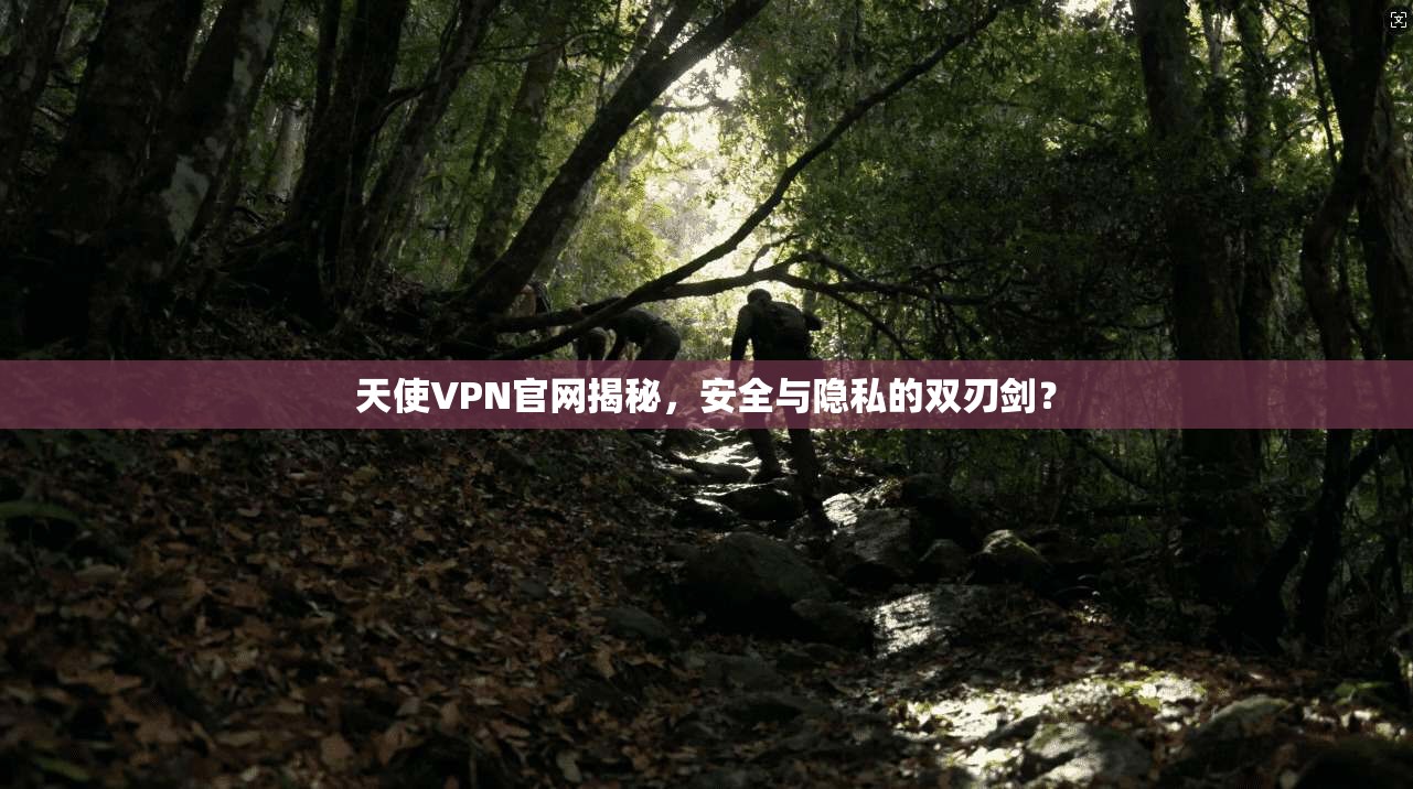 天使VPN官网揭秘，安全与隐私的双刃剑？