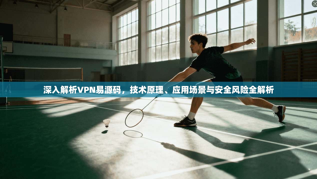 深入解析VPN易源码，技术原理、应用场景与安全风险全解析