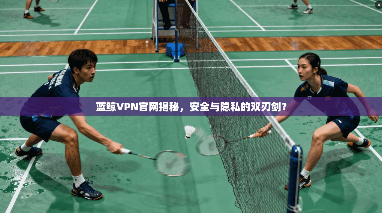 蓝鲸VPN官网揭秘，安全与隐私的双刃剑？