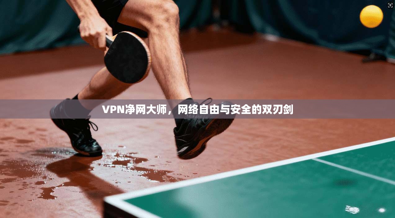 VPN净网大师,网络自由与安全的双刃剑