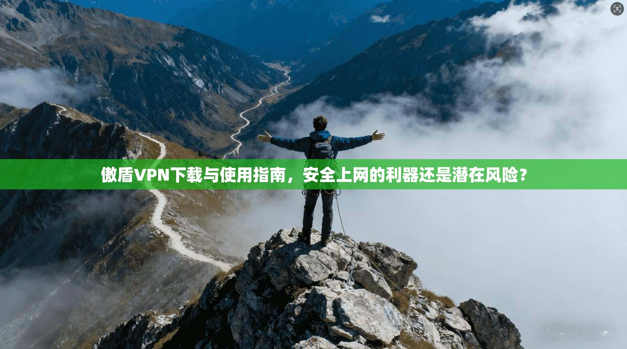 傲盾VPN下载与使用指南，安全上网的利器还是潜在风险？