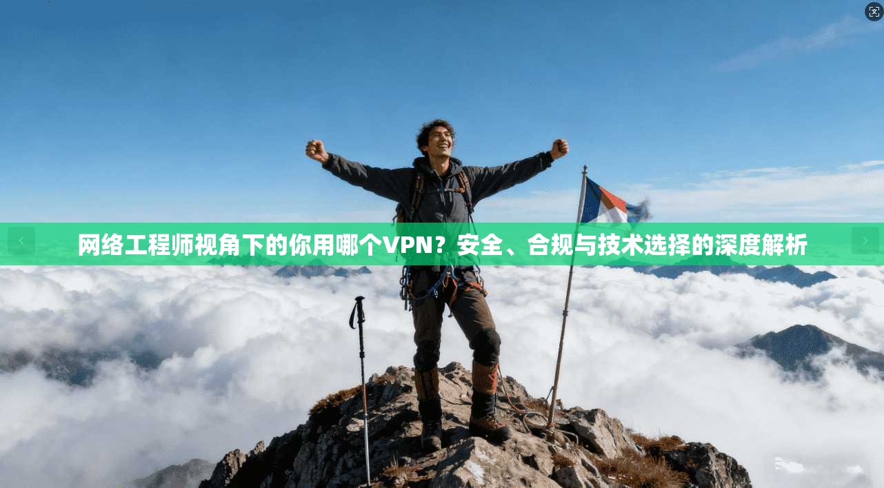 网络工程师视角下的你用哪个VPN?安全、合规与技术选择的深度解析