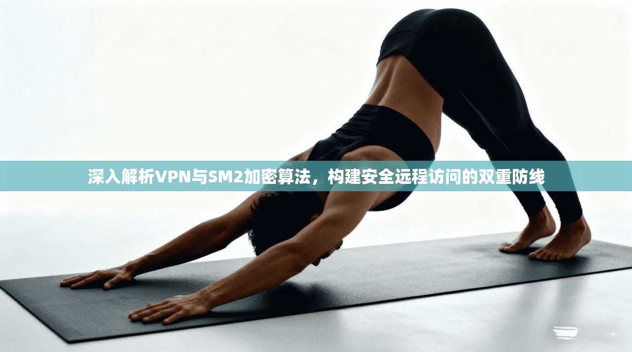 深入解析VPN与SM2加密算法，构建安全远程访问的双重防线