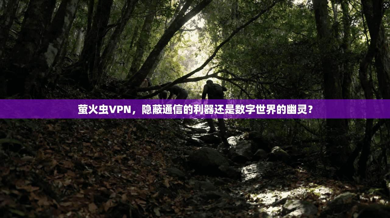 萤火虫VPN，隐蔽通信的利器还是数字世界的幽灵？